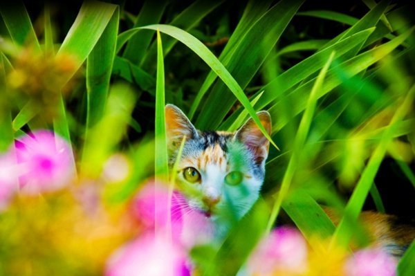 Фотовиставка Уляни Макар